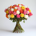 100 multi colors roses